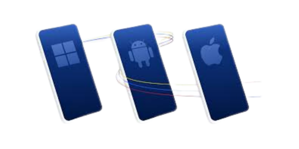 Native App Development